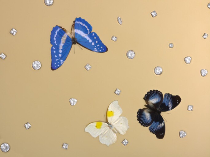 detail-hirst1.jpg