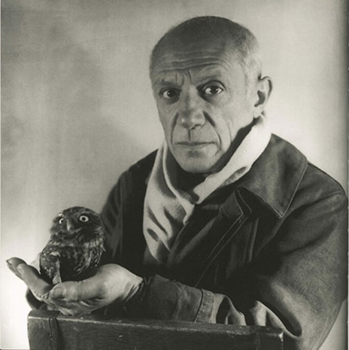 picasso-owl.jpg