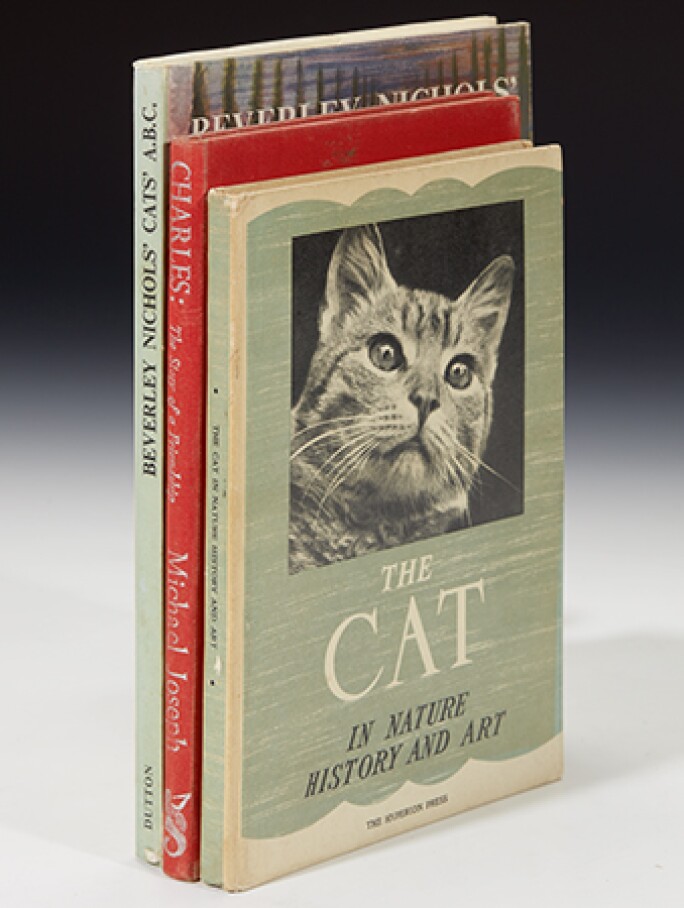 l17148-cats-blog-4.jpg