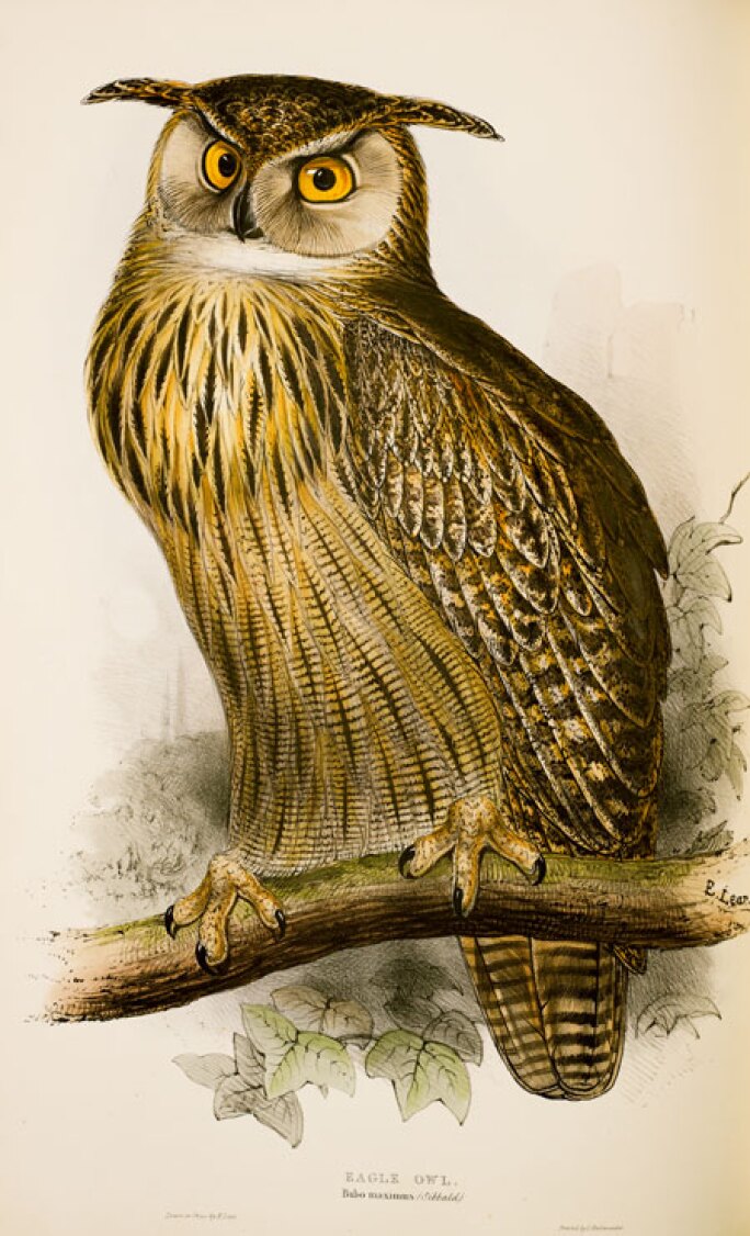 gould-2-165l18401-7mfsc.jpg