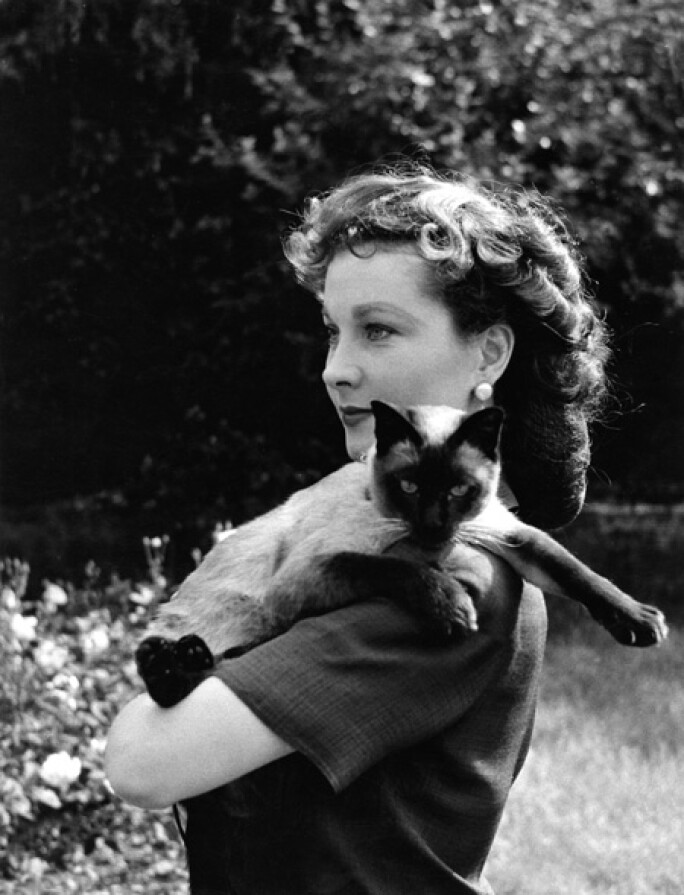 vivien-leigh-cats-actress.jpg
