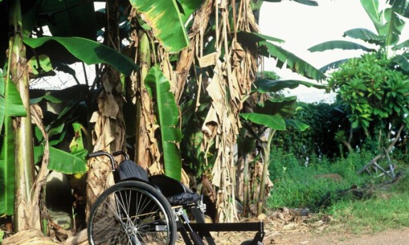 Motivation Rough Terrain Wheelchair, 2005