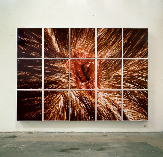 Matt Collishaw, Bullet Hole 1988