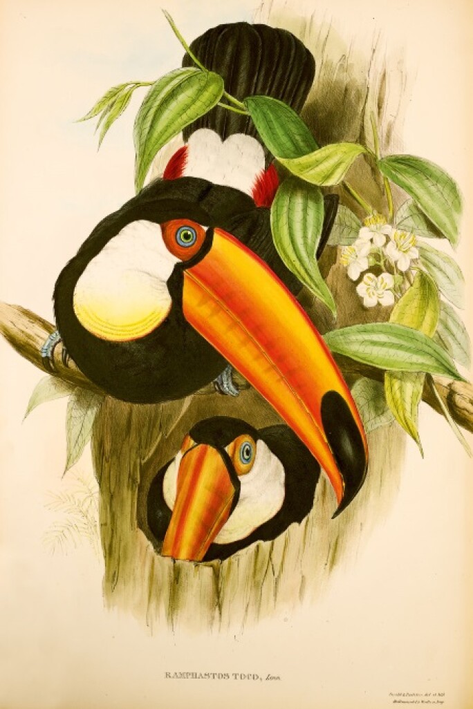 gould-4-168l18401-7mfsc.jpg