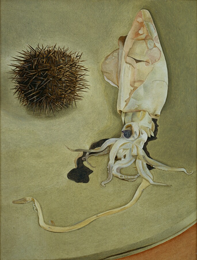 lucian-freud-sea-urchin-harris.jpg