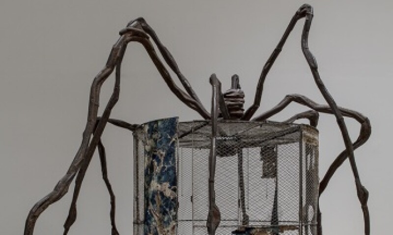 bourgeois spider.jpg