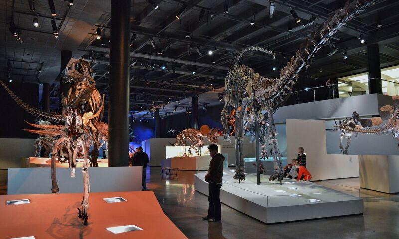 Interior of the Houston Museum of Natural Science