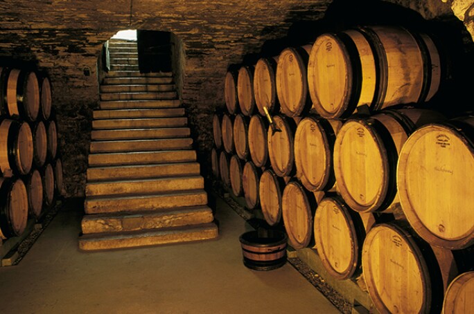 burgundy-5.jpg