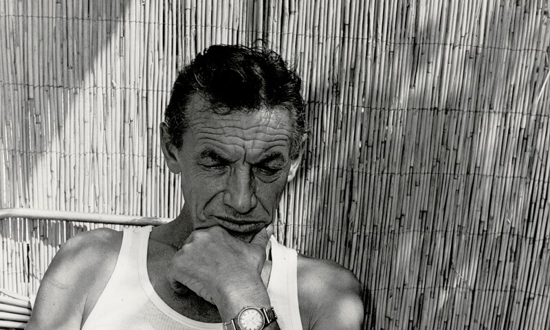 manfred willmann albertina
