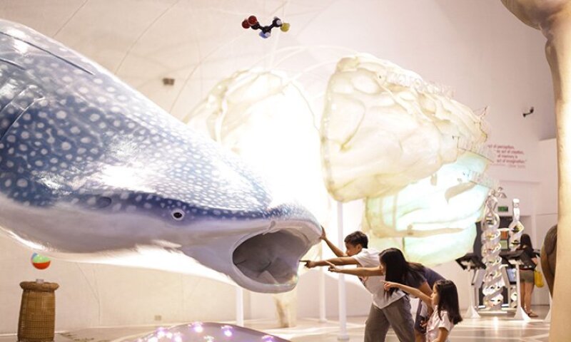 mind museum.jpg