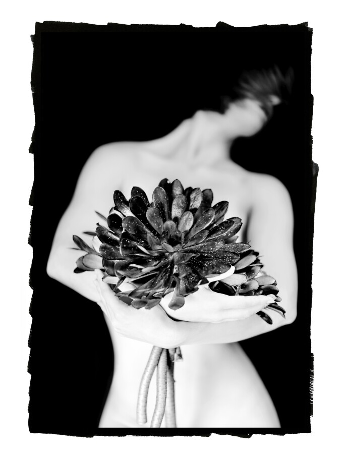 maryam-eisler-1.jpg