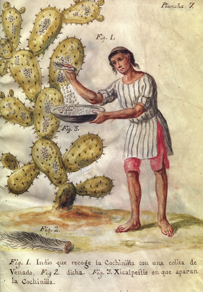 costumist-image1.jpg