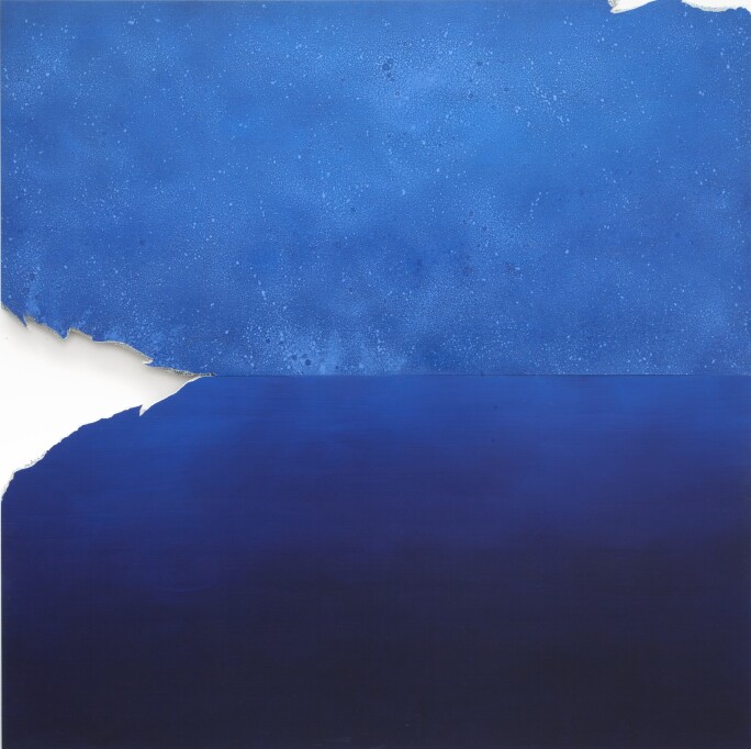 Joe Goode - Shark Bite - 2014.jpg