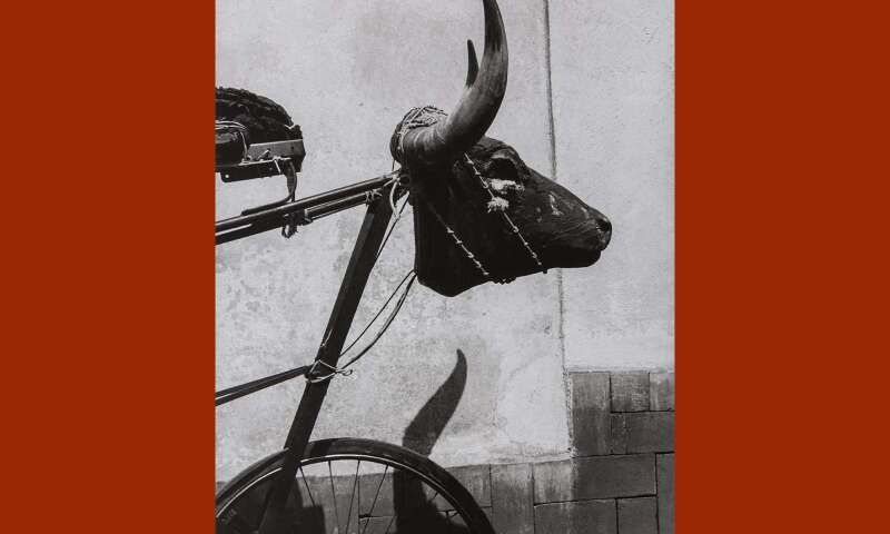 Graciela Iturbide.jpg