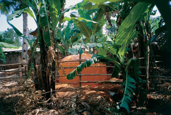 Superflex Biogas in Africa 1998