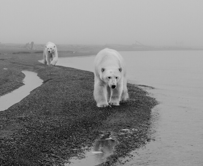 david-yarrow 6.jpg