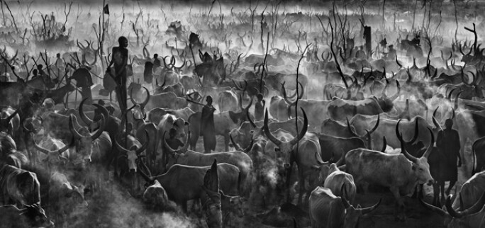 david-yarrow 4.jpg