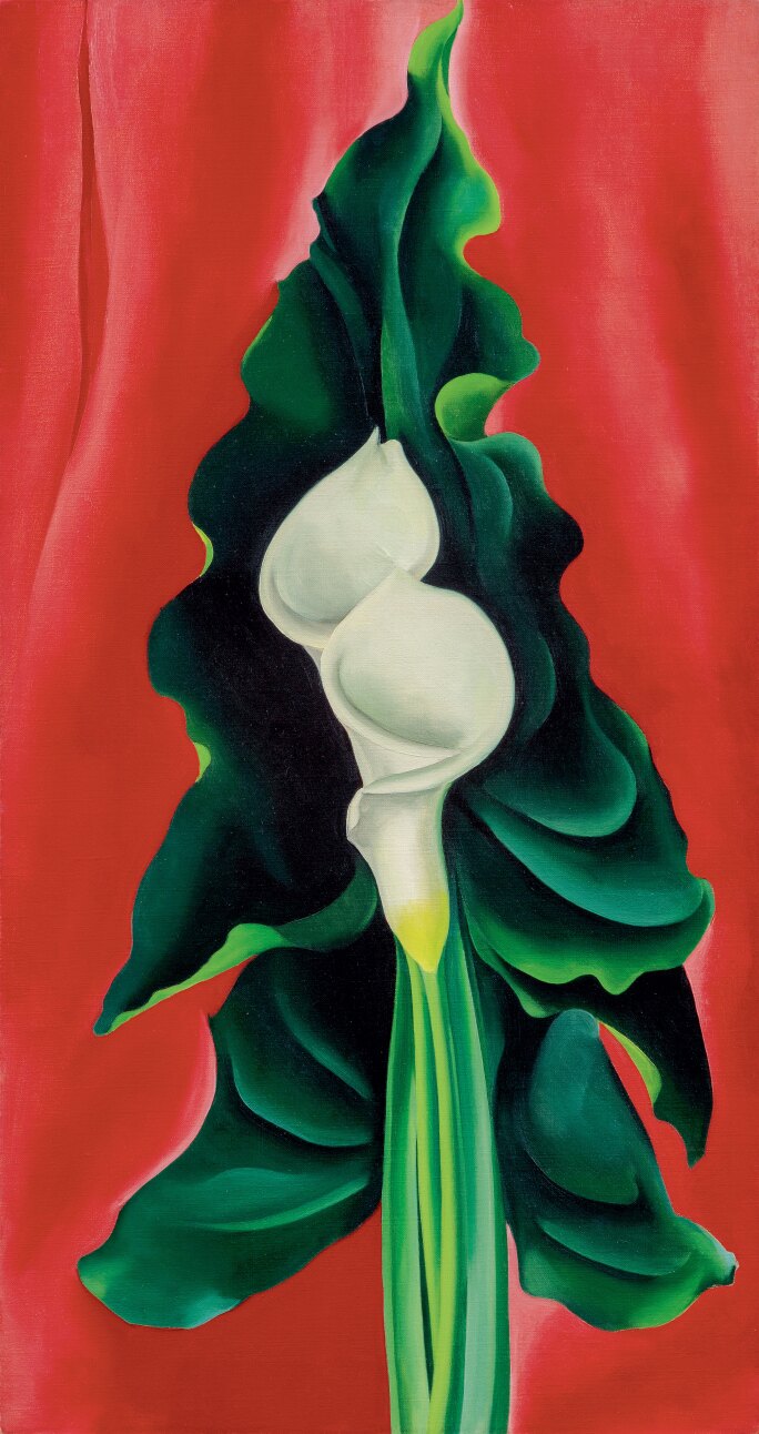 Georgia-Okeeffe-Calla-Lilies-on-Red.jpg