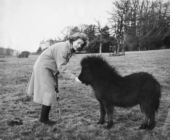 4-duchess-pony.jpg