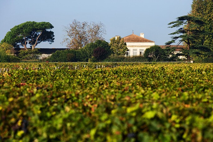 bordeaux-futures-lynch-bages.jpg