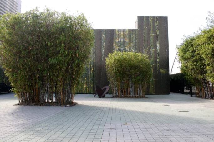 Cisneros Fontanals Art Foundation (CIFO)