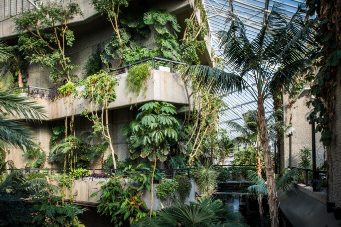 Conservatory, Barbican Centre.jpg