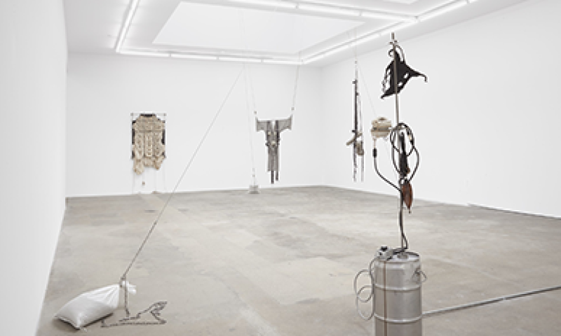 Installation view, Elaine Cameron-Weir, wave form walks the earth