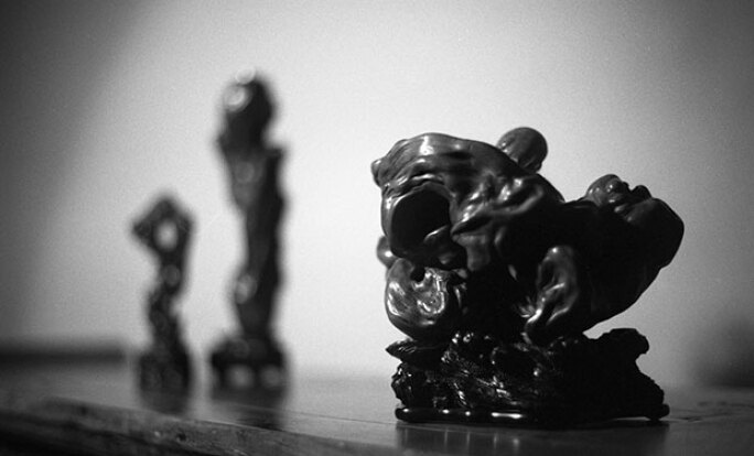 tao-aesthetics-dream-root-bw.jpg