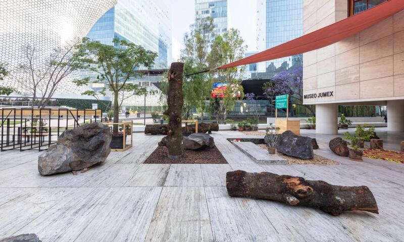 jumex plaza.jpg