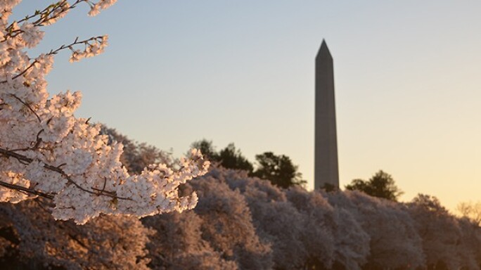 washington dc baltimore location image.jpg