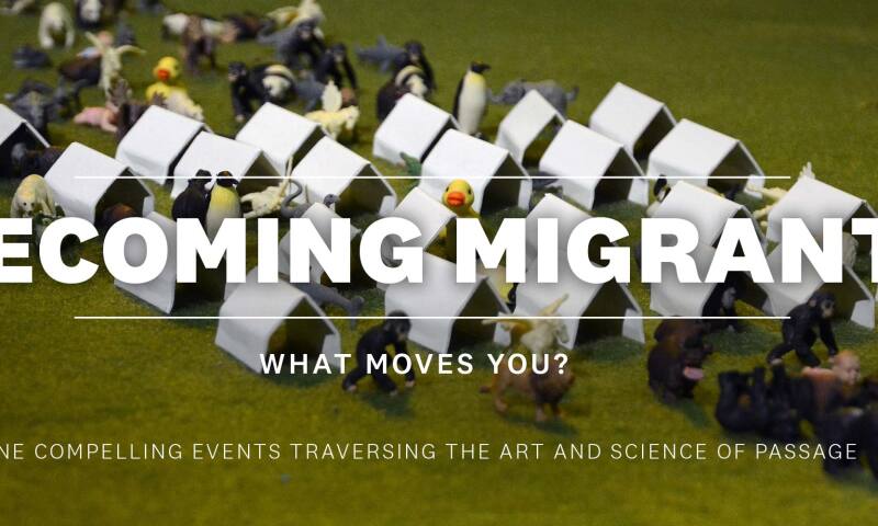 Carnegie_Becoming Migrant.jpg