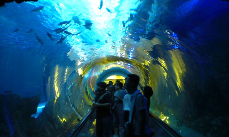 Interior view of the NMMBA in Checheng.