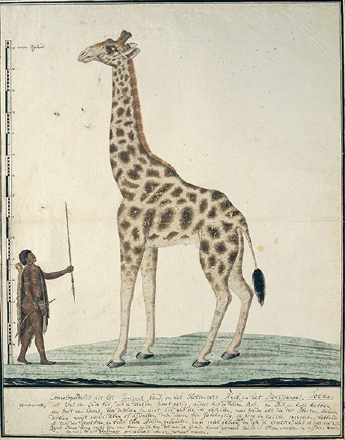 benelux-mag-body3.jpg