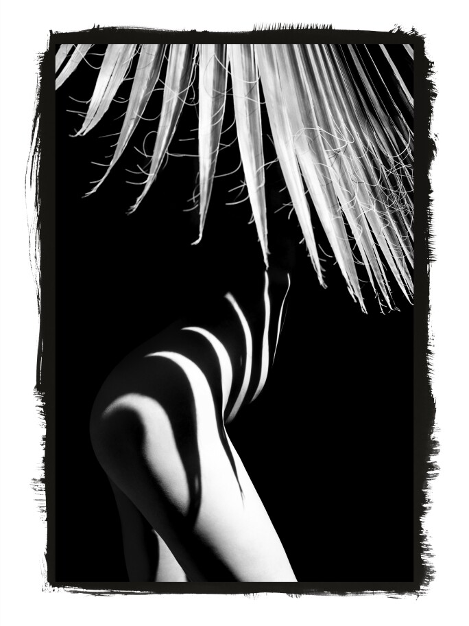maryam-eisler-4.jpg