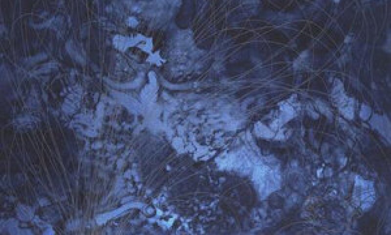 Chris+Ofili,+Black+Shunga.jpg