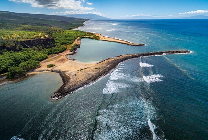hawaiin-majesty-listing.jpg