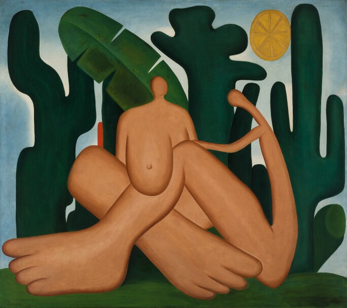 museum_global_Tarsila_do_Amaral_300dpi.jpg