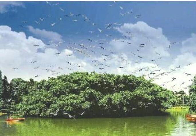 Bird Paradise in Xinhui.jpg
