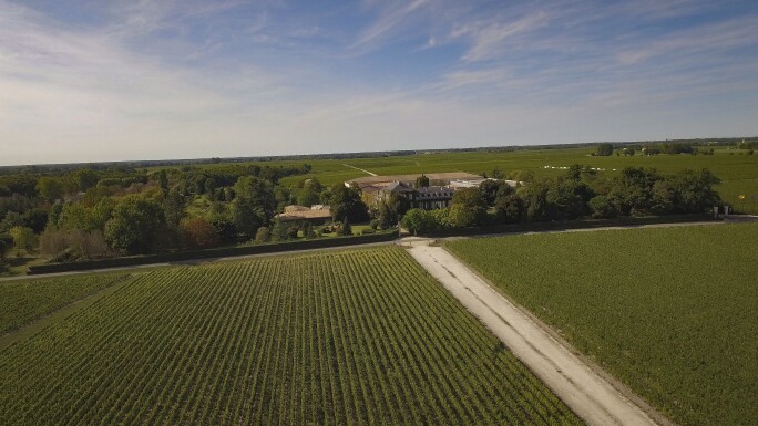 Château Talbot and vineyards