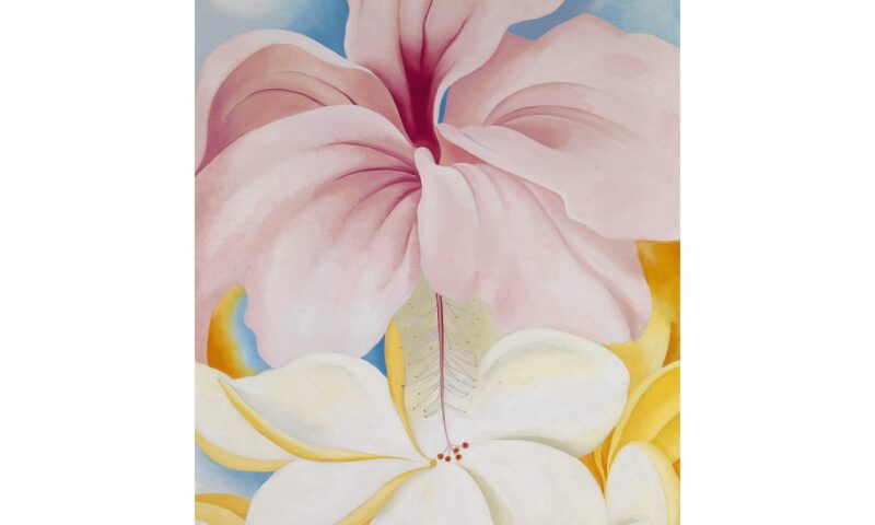 Georgia O'Keefe, Hibiscus with Plumeria