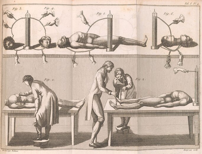 Benoît Pecheux, Giovanni Aldini, Essai théorique et expérimental sur le galvanisme, Paris: De l’imprimerie de Fournier Fils, 1804.