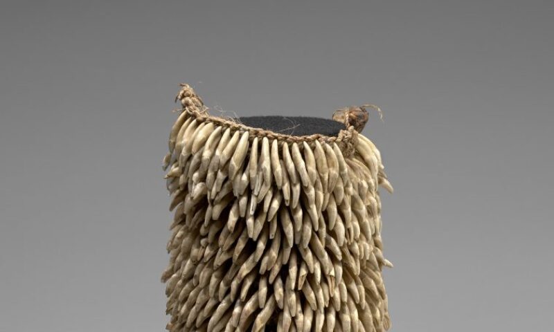 kupeʻe niho ʻīlio.jpg