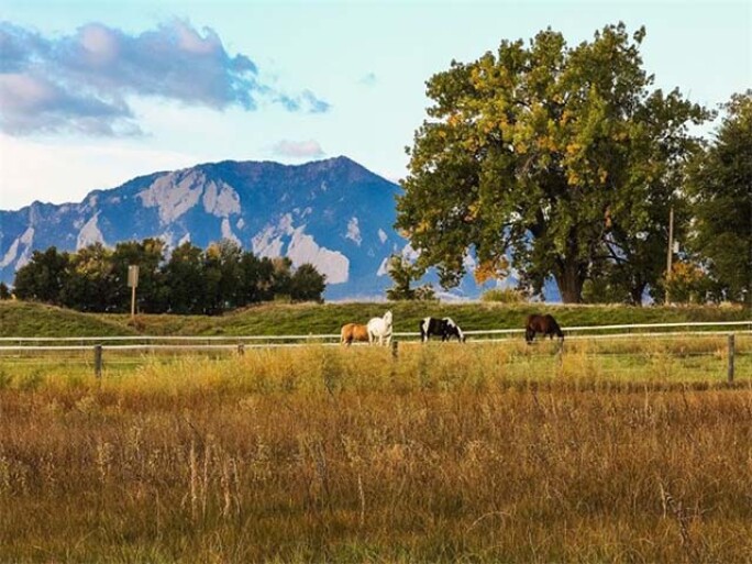 boulder-colorado-property-id-wpp6wg.jpg