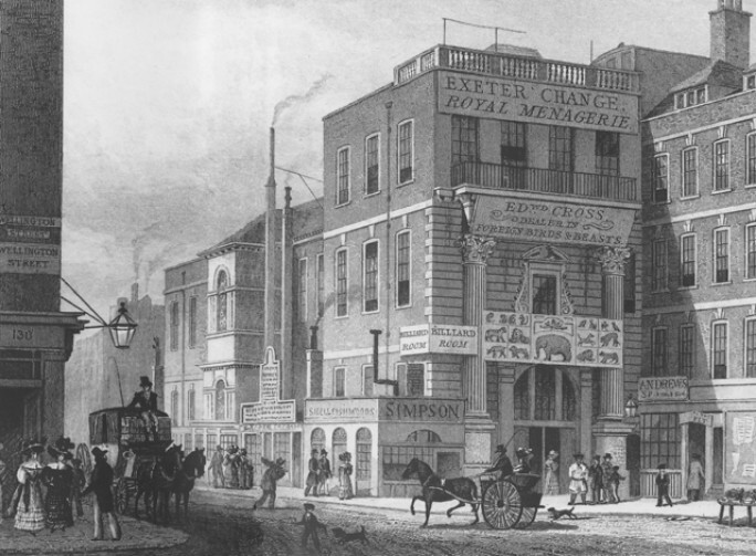 _Exeter Exchange, Strand.jpg