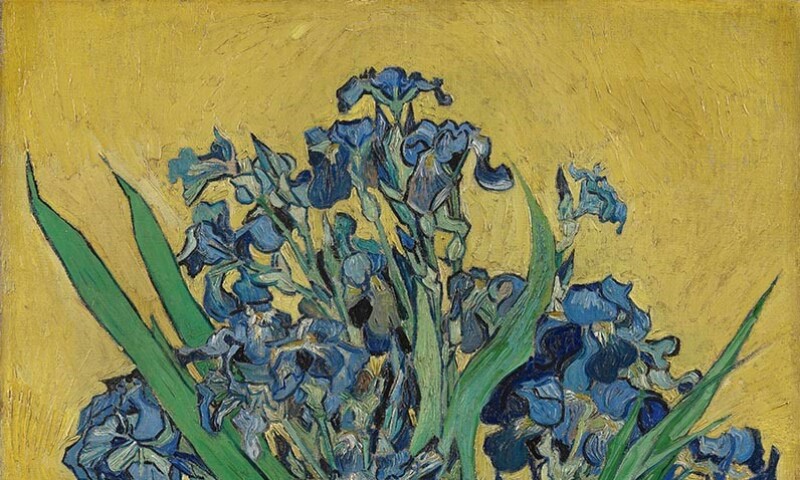 Van Gogh Irises.jpg