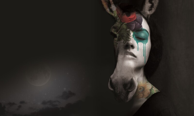 NHO Midsummer Nights Dream hi-res image.jpg
