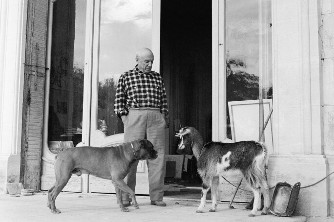 picasso-femme-au-chien-goat-boxer.jpg