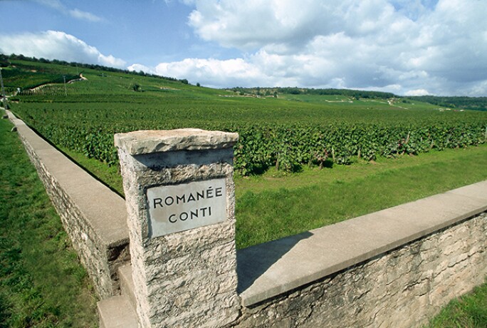 burgundy-3.jpg