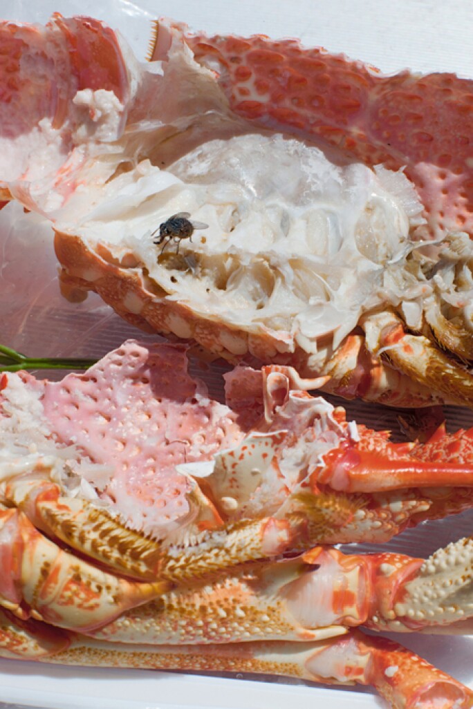 wolfgang-tillmans-3.jpg