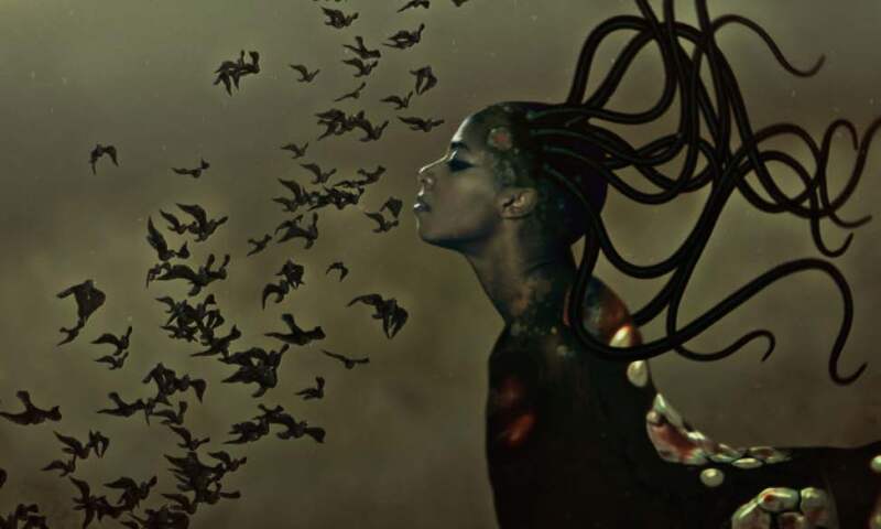 Wangechi Mutu blanton.jpg